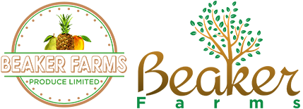Beaker Farms Limited 